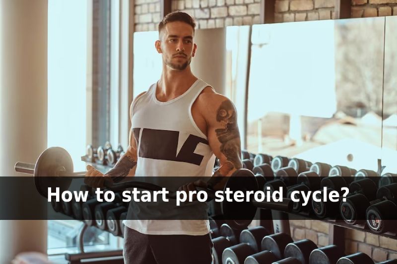 pro steroid cycles