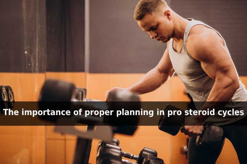pro steroid cycles